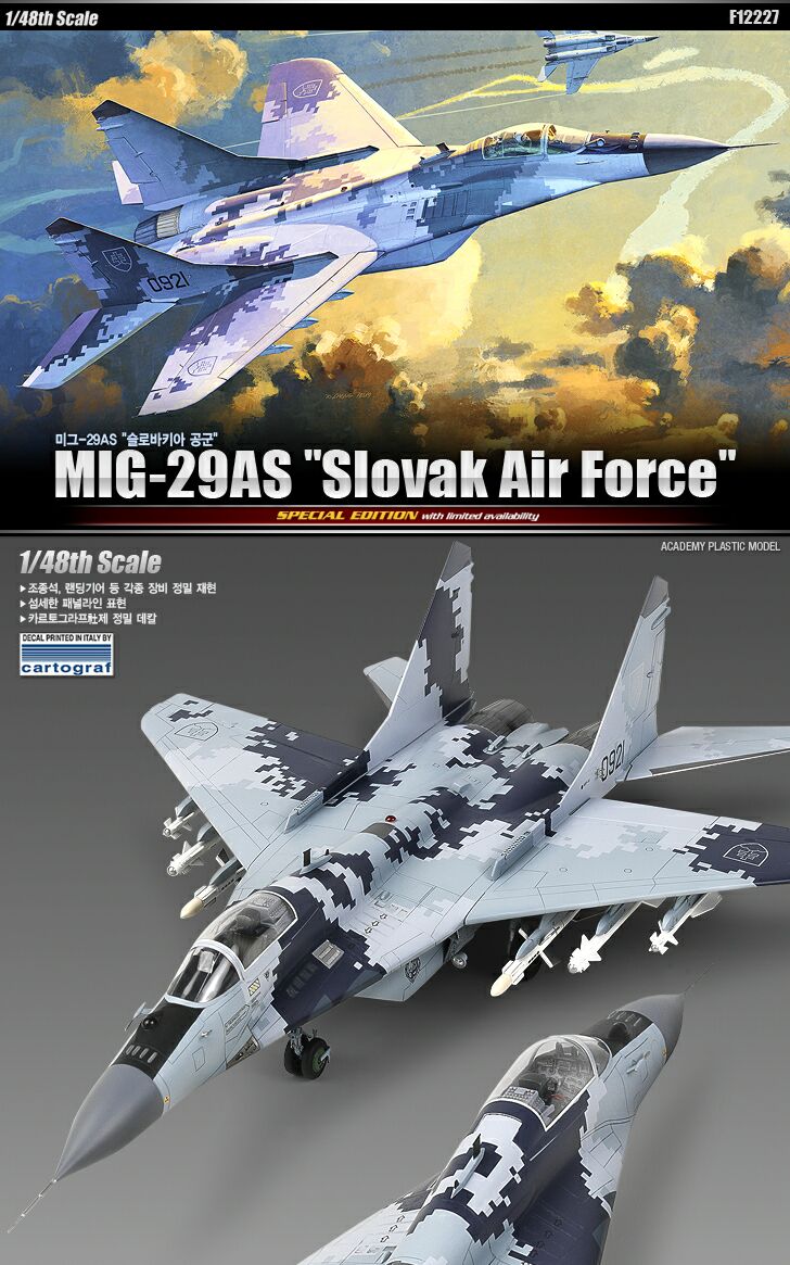 48_MIG_29AS.jpg